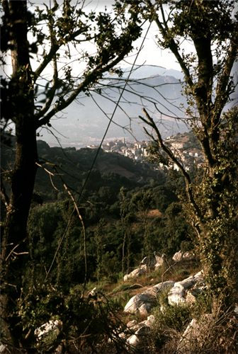 n_03_sartene_1985  .jpg